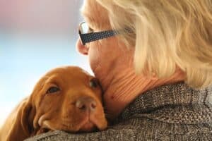 chien et personne agée